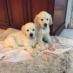 Evelyn Holt - @evelyn.holt.988 - Instagram