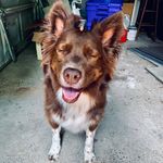 Evelyn Merie Holt - @evelyn_the_aussie - Instagram
