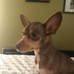 Evelyn Hooker - @evelynhooker4 - Instagram