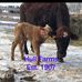 Evelyn Hull - Facebook