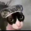 Camila - @te.kiero_evelyn.11 - TikTok