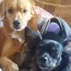 eveline kluth - @eveline.kluth - TikTok