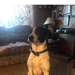 Evelyn Laseter - Facebook