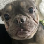 Evelyn - @evelyn_light_2007 - Instagram