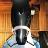 evelynlight - @evelyn.lightford - TikTok