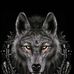 Evelyn lobos de uma alcateia - Facebook