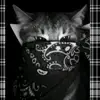 Evelyn - @evelyn_lujan24 - TikTok