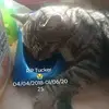 Evelyn MacKenzie - @evelyn.mackenzie2 - TikTok