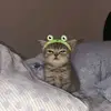 Mackenzie Evelyn - @mackenzie.evelynobx - TikTok
