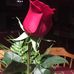 Evelyn Mackey - Facebook