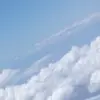 evelynmaningo105 - @evelynmaningo105 - TikTok