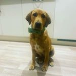 Evelyn Mann - @eviemann22 - Instagram