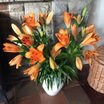 Evelyn March - Facebook