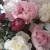 Evelyne Mathieu - @evelyne.mathieu5 - TikTok