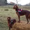 evelynemathieu - @evelynemathieu - TikTok