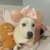evelyn - @evelynnmaya - TikTok