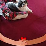 Evelyn Mclaughlin Mathieu Haberkern - @evelynmclaughlin1 - Instagram