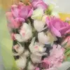 EvelynMclaughlin - @gaylorvn6bj - TikTok