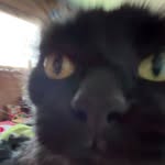 Evelyn Meyer - @evilynm67 - Instagram