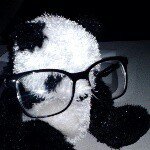 eve - @evelynmock1998 - Instagram