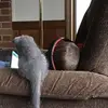 Evelyn Morehead - @evelynmorehead - TikTok