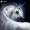 evelynott88 - @evelynott88 - TikTok