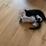 Evelyn Pendley - Facebook