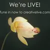Evelyn Pieringer - @evelyn.pieringer - TikTok