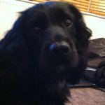 Evelyn Pickering - @evpick99 - Instagram