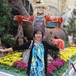 Evelyn Pickering - @pickering4850 - Instagram