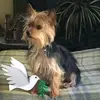 evelynpierce475 - @evelynpierce475 - TikTok