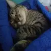 Evelyn Piñeiro - @evelyn.pieiro8 - TikTok