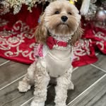 Evelyn Plunkett - @eplunk - Instagram