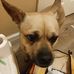 Evelyn Primmer - Facebook
