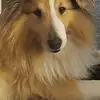 evelynproctor - @evelynproctor - TikTok
