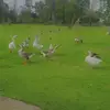 Evelyn Ramòn - @evelyn.ramn - TikTok