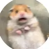 Evelyn RT - @evelyn.ramon03 - TikTok