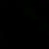 Evelyn - @evelyn_rath1 - TikTok