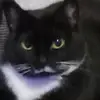 evelynmuelrath - @evelynmuelrath - TikTok