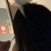 ||evelyn;)|| - @.evelynriddlee - TikTok