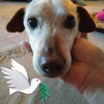 Evelyn Rumble - Facebook