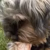 evelynecrumble - @evelynecrumble - TikTok