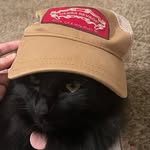 Shade Evelyn Mosby (The Monster) - @shadeevelynmosby - Instagram