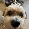 evelyn_soooo - @evelyn_soooo - TikTok