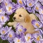 Evelyn Winstead - Facebook