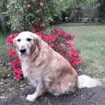 Evelyne Daniel - @evelyne.daniel8388 - Instagram