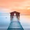 evelynedaniel566 - @evelynedaniel566 - TikTok