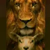 Dios te ama♥️ - @everduarte47 - TikTok