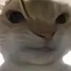Ever Duarte - @ever.duarte302 - TikTok
