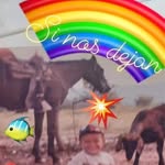 Ever Escobar - @ever.escobar.357 - Instagram